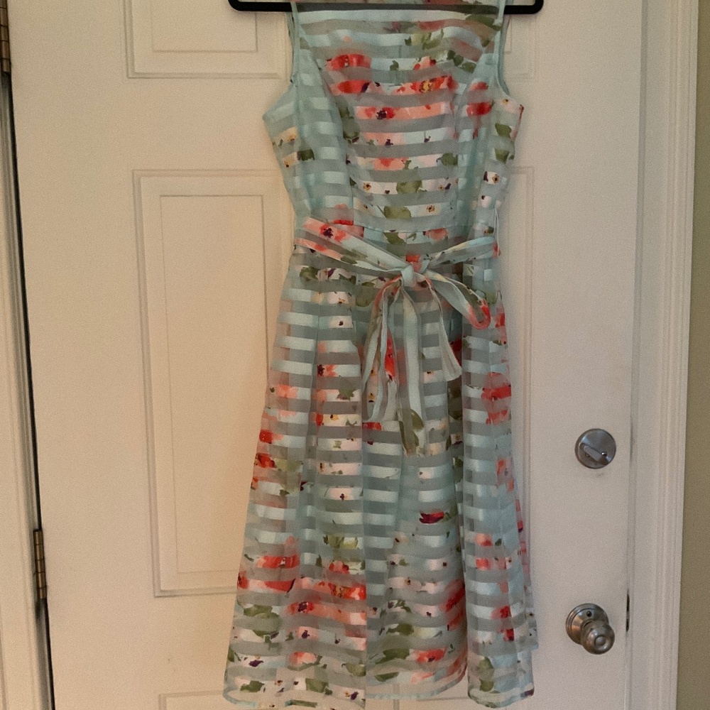 Size 12 Sandra Darren dress worn once.